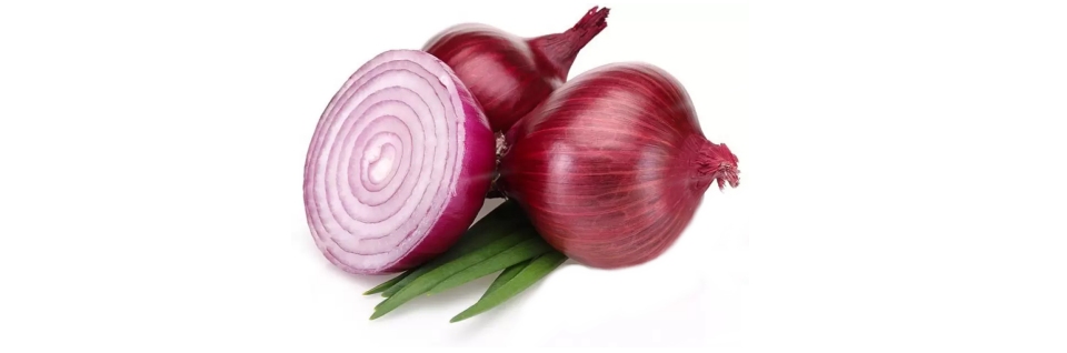 Onion