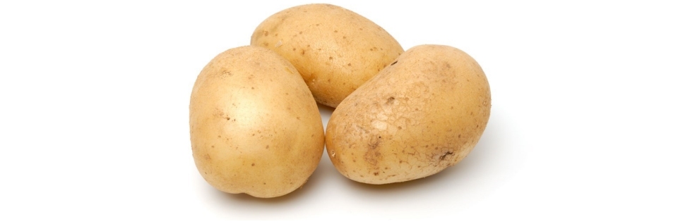 Potato