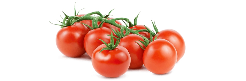 Tomato