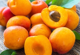 Apricot