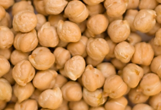 chickpea