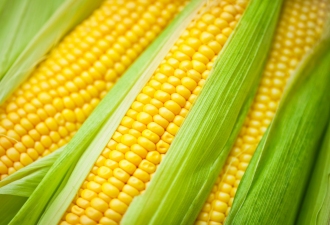 corn