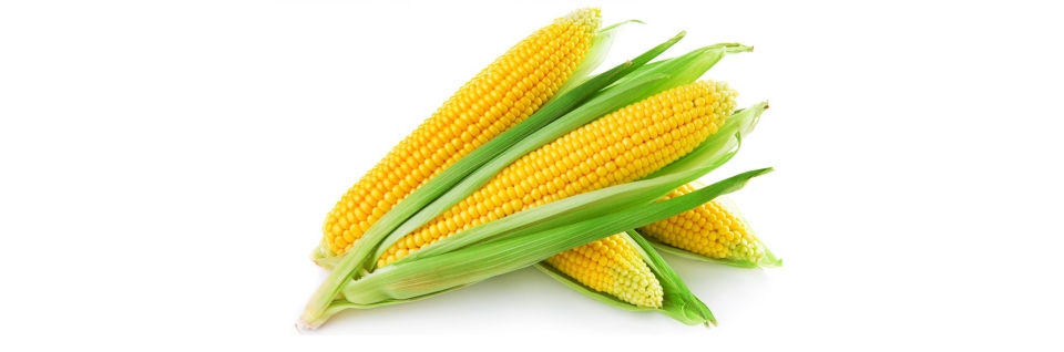 Corn