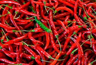 hot pepper