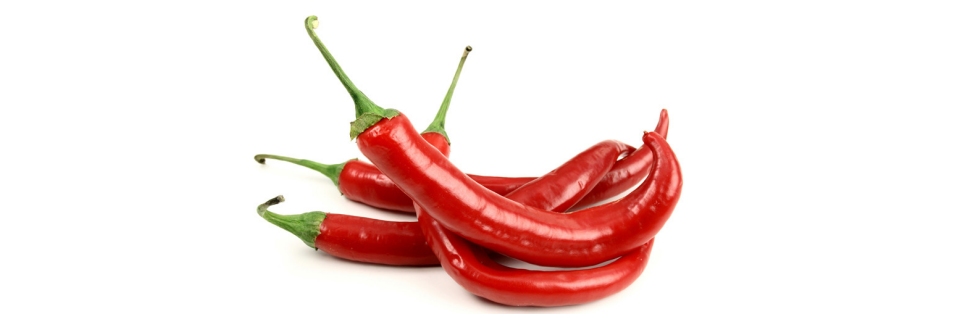 Hot Pepper