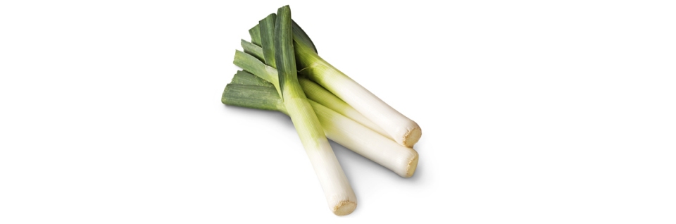 Leek