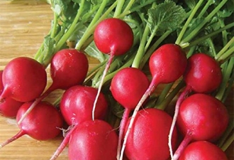 radish