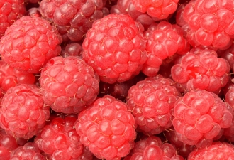 raspberry