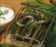 HORSE BEANS IN OLIVE OIL