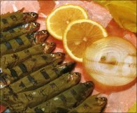 SARDINES IN VINE LEAVES