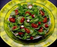 PURSLANE SALAD